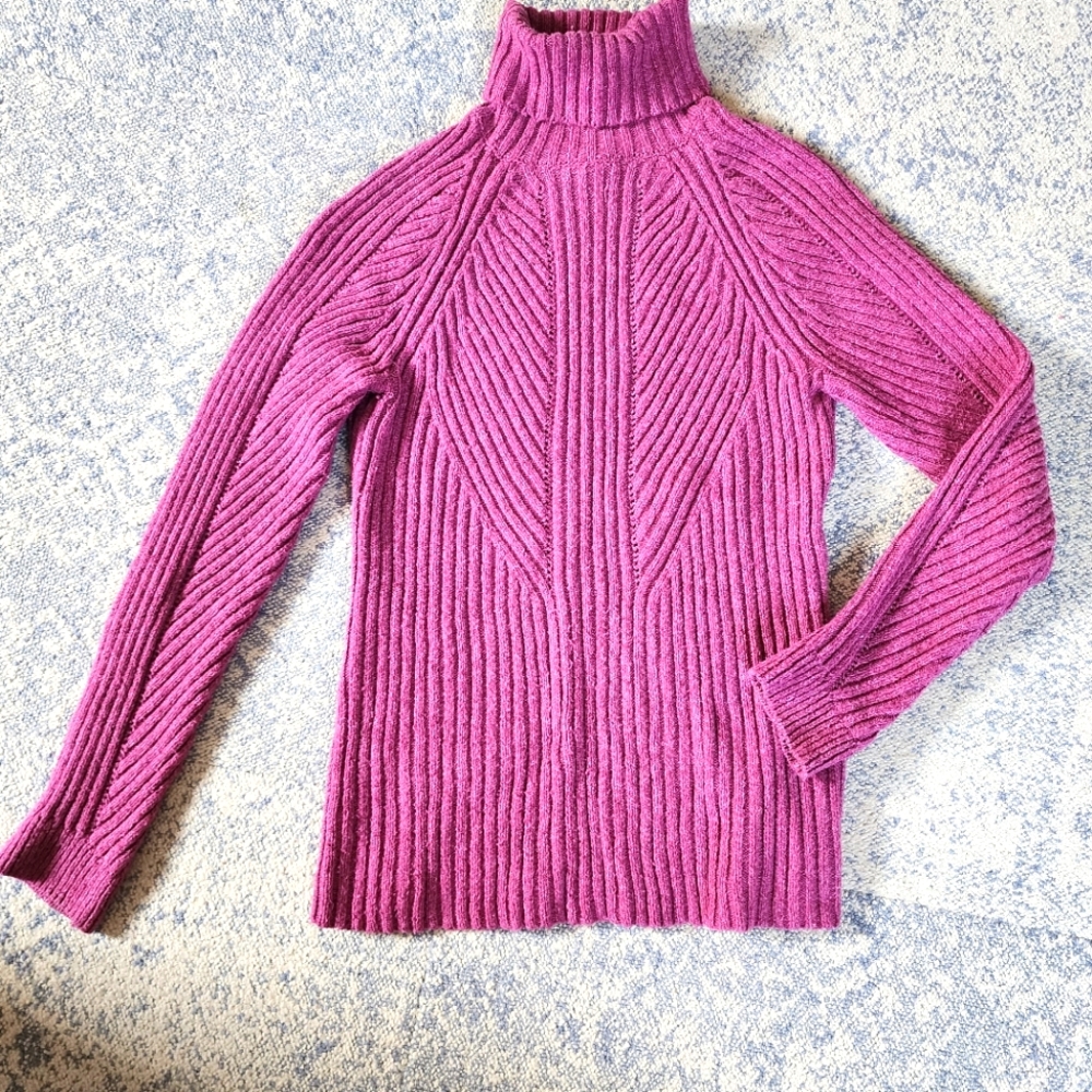Sundance turtle neck sweater